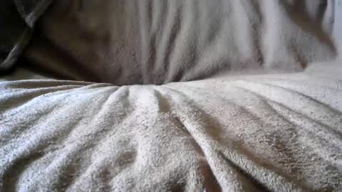 Snapshot of funguy4558 chatting on February 2025 06:58:02 PM BigLoadsJoe online show from February 2025 06:58:02 PM