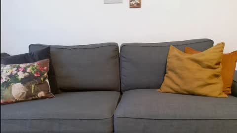 funservice online show from December 2024 09:17:02 AM