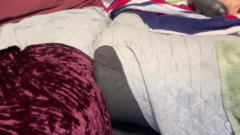 Snapshot of funwithtoyz chatting on January 2025 07:04:01 AM funwithtoyz online show from January 2025 07:04:01 AM