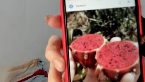 Snapshot of gabriela_duarte chatting on January 2025 12:50:02 PM Gabi online show from January 2025 12:50:02 PM