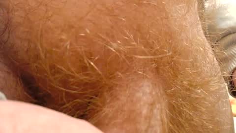 gae89tano online show from February 2025 09:52:02 AM