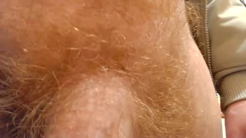 gae89tano online show from February 2025 08:21:01 AM