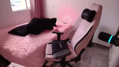 Snapshot of geminis11 chatting on December 2025 09:08:02 PM geminis11 online show from December 2025 09:08:02 PM