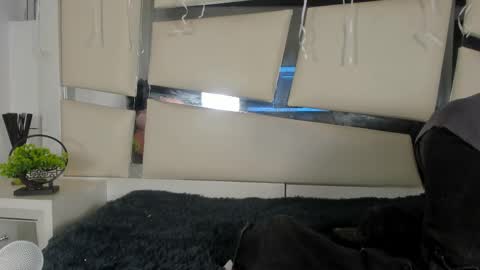 Snapshot of genesis_ask chatting on November 2025 03:34:01 AM Genesis online show from November 2025 03:34:01 AM