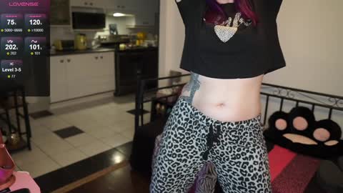 Genny Rock   and  online show from December 2024 11:25:02 PM