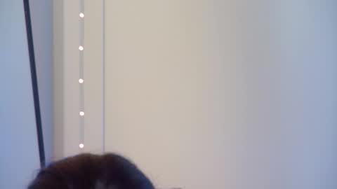 GentleRossi online show from October 2025 04:02:01 PM