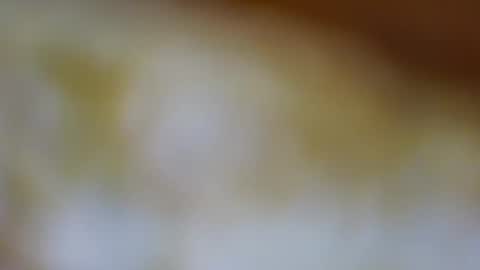 germanandy71 online show from October 2025 11:32:02 AM