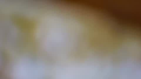 germanandy71 online show from November 2025 09:19:02 AM