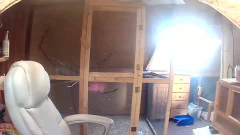 Snapshot of germany_50 chatting on September 2025 06:36:01 AM germany_50 online show from September 2025 06:36:01 AM