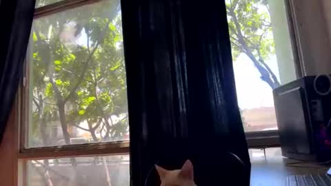 Snapshot of gerson229 chatting on October 2025 01:21:02 PM gerson229 online show from October 2025 01:21:02 PM