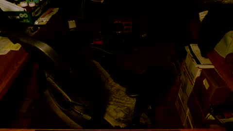 gfhdhr2 online show from March 2025 09:18:01 AM