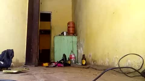 Snapshot of ghabriel7777788 chatting on September 2025 04:54:01 PM Gaby online show from September 2025 04:54:01 PM