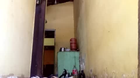 Snapshot of ghabriel7777788 chatting on October 2025 02:15:01 PM Gaby online show from October 2025 02:15:01 PM