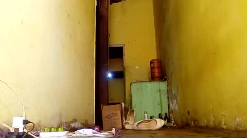 Snapshot of ghabriel7777788 chatting on November 2025 06:50:01 PM Gaby online show from November 2025 06:50:01 PM