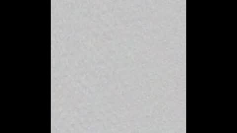 Snapshot of giaa_ross chatting on November 2025 07:06:01 PM Gia online show from November 2025 07:06:01 PM