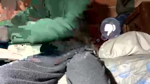 Snapshot of gicobest chatting on January 2025 02:30:02 PM Corrado online show from January 2025 02:30:02 PM