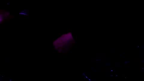 giftedbiker online show from January 2025 06:17:01 AM