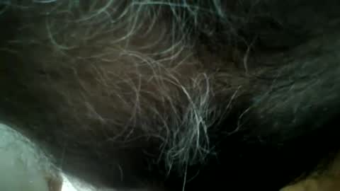 Snapshot of gigigegio chatting on September 2025 01:15:01 PM gigigegio sky online show from September 2025 01:15:01 PM