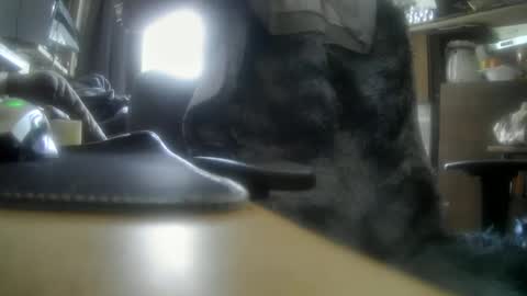 Snapshot of giovanne1 chatting on December 2024 12:11:02 PM giovanne1 online show from December 2024 12:11:02 PM