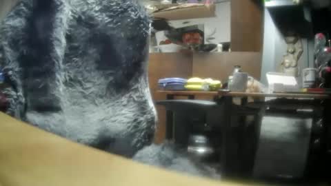 Snapshot of giovanne1 chatting on December 2024 06:22:02 AM giovanne1 online show from December 2024 06:22:02 AM