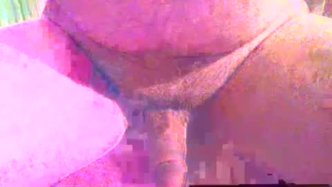 girafsnoop online show from December 2025 04:01:02 PM