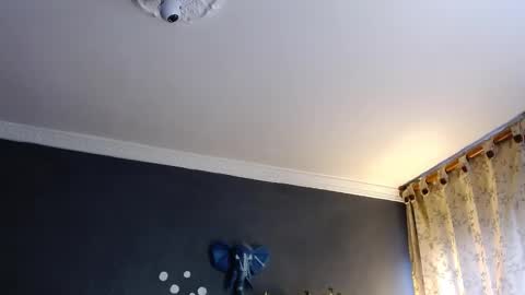 piggy boy online show from January 2025 08:54:01 PM