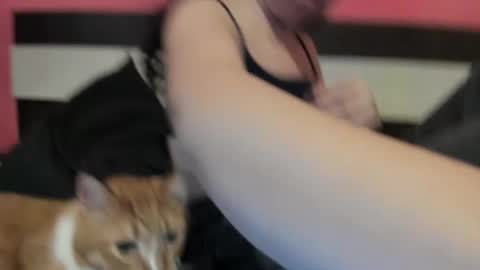 Snapshot of giselelove chatting on January 2025 02:34:01 PM Gisella online show from January 2025 02:34:01 PM