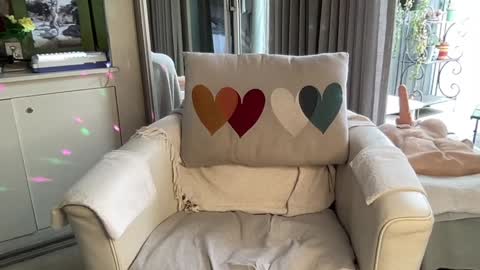 Snapshot of gl1tter_barbie chatting on December 2024 09:42:01 AM Gl1tter Barbie online show from December 2024 09:42:01 AM