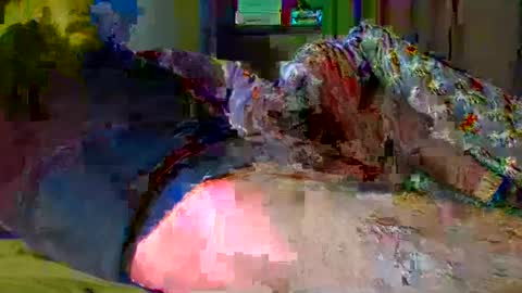 Snapshot of glls chatting on December 2024 05:10:02 PM guybuzz online show from December 2024 05:10:02 PM