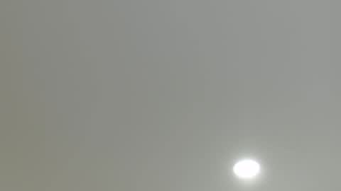 goath_08 online show from March 2025 11:05:01 PM
