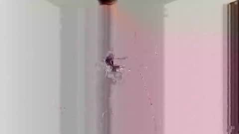 goblue4133 online show from December 2024 05:37:01 AM