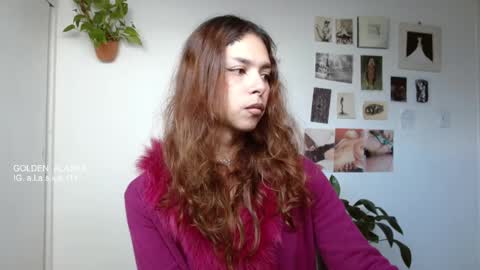 Alaska online show from November 2025 11:54:01 AM