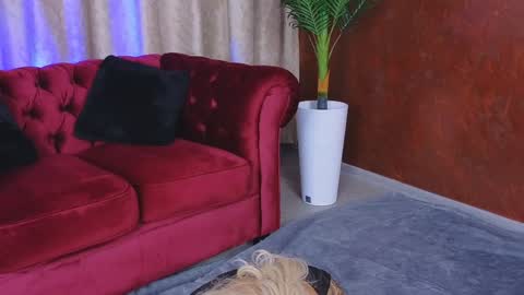 Snapshot of goldenamberx chatting on January 2025 05:19:02 AM GoldenAmberX online show from January 2025 05:19:02 AM