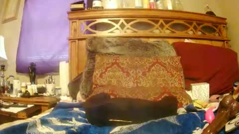 Juicy Booty online show from February 2025 06:42:02 PM