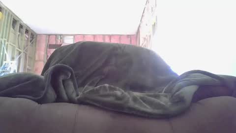 Snapshot of goodcock12345 chatting on December 2024 08:28:01 PM goodcock12345 online show from December 2024 08:28:01 PM