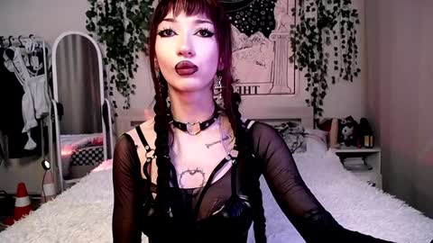    online show from January 2025 03:11:01 AM