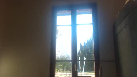 Snapshot of greenmoon88888 chatting on December 2024 11:45:02 AM Greenmoon online show from December 2024 11:45:02 AM