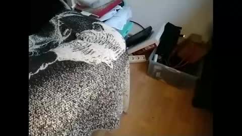 Greg online show from January 2025 09:46:01 AM