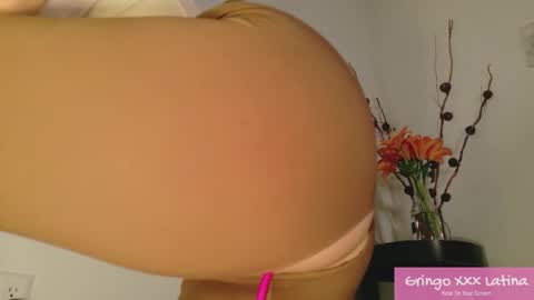 Snapshot of gringo_xxx_latina chatting on November 2025 03:50:01 AM gringo_xxx_latina online show from November 2025 03:50:01 AM