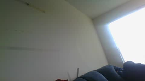 Snapshot of gringoloco253783 chatting on December 2024 04:46:02 PM certifiedloverboy online show from December 2024 04:46:02 PM