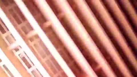 Gu online show from January 2025 06:59:01 AM