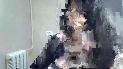 GusumAh online show from February 2025 10:09:02 PM