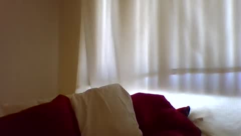 Hailey online show from February 2025 07:38:01 PM