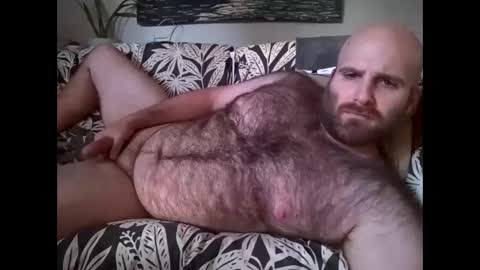 Snapshot of hairiestbear chatting on October 2025 02:53:01 PM Hairiest Bear online show from October 2025 02:53:01 PM