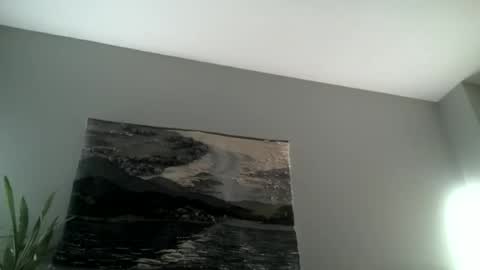 Snapshot of hairiestbear chatting on November 2025 08:00:02 AM Hairiest Bear online show from November 2025 08:00:02 AM