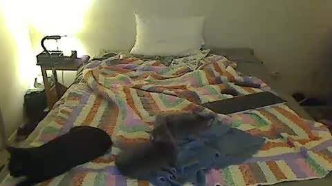 hammerthatthang73 online show from October 2025 07:20:02 AM