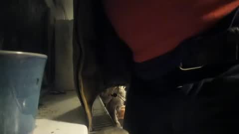 handncocknocum online show from December 2024 05:22:02 PM