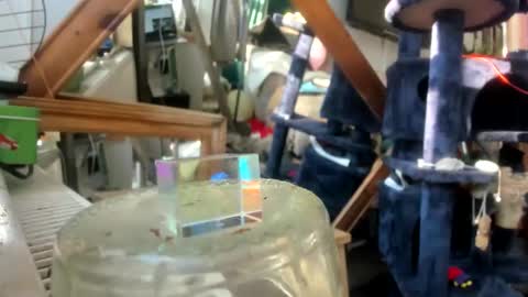 handncocknocum online show from March 2025 08:08:01 AM