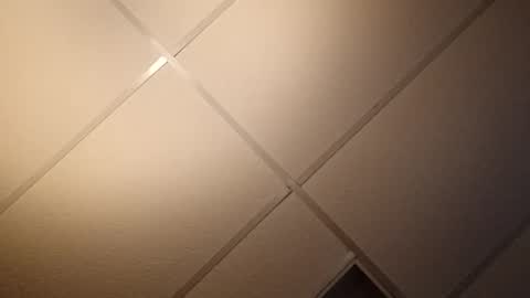 handycocky1 online show from November 2025 12:38:02 PM