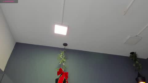 HANNAH MILLER online show from December 2024 11:26:01 AM
